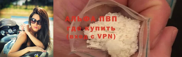 прущие грибы Пестово