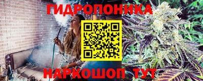 PSILOCYBIN Севастополь