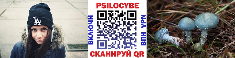 Галлюциногенные грибы мицелий  hydra как зайти  Ярцево 