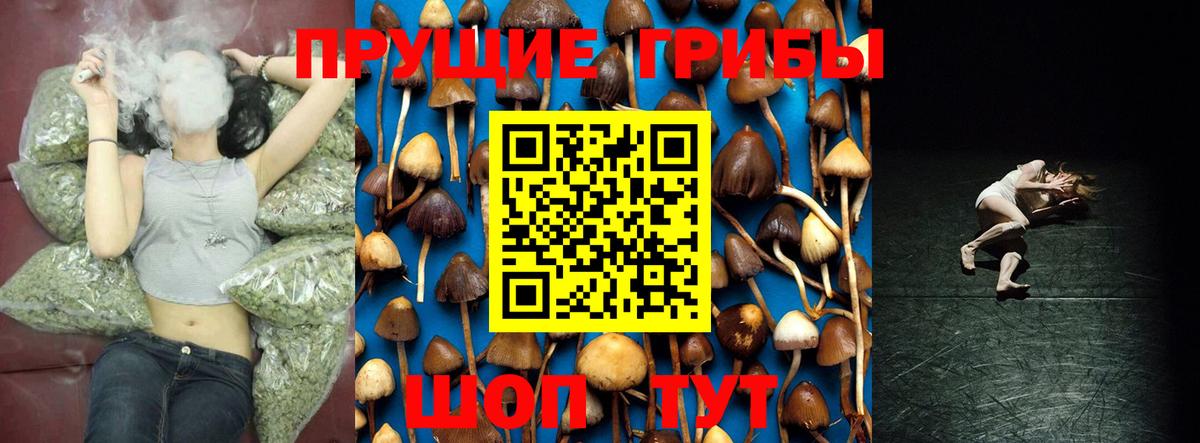 Псилоцибиновые грибы ЛСД Ярцево