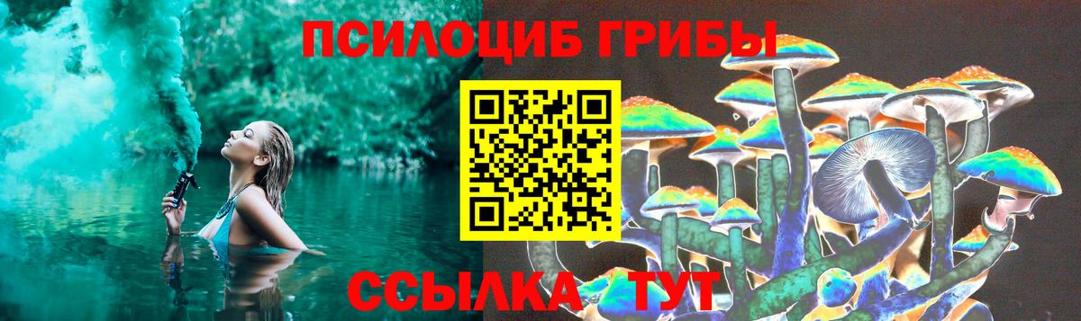 Ярцево  Псилоцибиновые грибы Magic Shrooms  Вход с VPN 